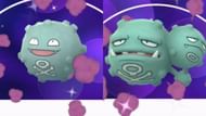 Shiny Koffing and Weezing as they appear in Pokemon GO (Image via Niantic)